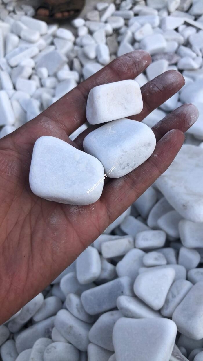 White Stones For Garden Landscape Aquarium