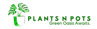 Plants N Pots -Order Plants and Planters online in Karachi Pakistan-Green Oasis Awaits.