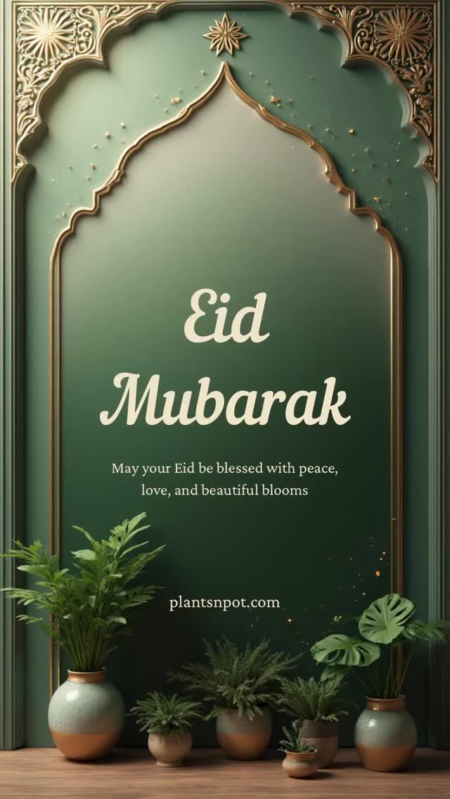Eid Mubarak!

• www.plantsnpot.com

#eid #eidmubarak❤️ #festival #plantsnpots #plants