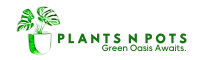 Plants N Pots -Order Plants and Planters online in Karachi Pakistan-Green Oasis Awaits.