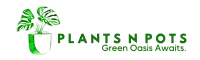 Order Plants, Planters, Landscaping & Maintenance Services Online in Karachi, Pakistan – Plants N Pots-Green Oasis Awaits.