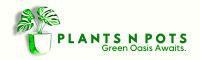 Plants N Pots -Order Plants and Planters online in Karachi Pakistan-Bringing Nature to Your Doorstep: Your One-Stop Destination for Plants and Pots Online!