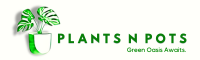 Plants N Pots -Order Plants and Planters online in Karachi Pakistan-Bringing Nature to Your Doorstep: Your One-Stop Destination for Plants and Pots Online!