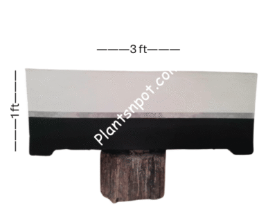 Concrete Plant Bed Kiyari