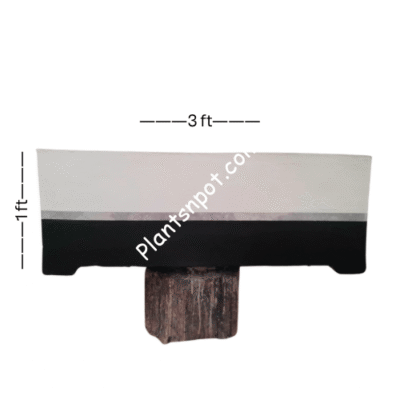 Concrete Plant Bed Kiyari