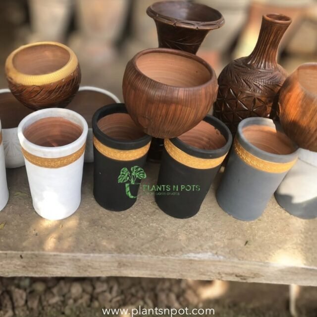 Fancy Clay Pots And Planters in Stock!
Browse: https://plantsnpot.com or Dm

#pots #pottery #clay #plantsnpots #plants #planwithme #karachi #homedecor