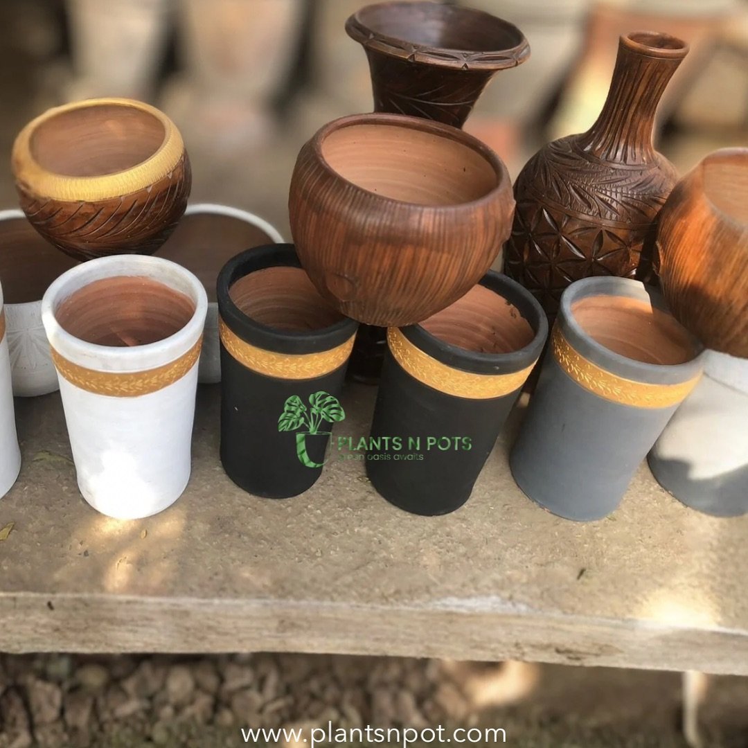 Fancy Clay Pots And Planters in Stock!
Browse: https://plantsnpot.com or Dm

#pots #pottery #clay #plantsnpots #plants #planwithme #karachi #homedecor