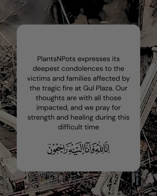 PlantsNPots expresses its deepest condolences to the victims and families affected by the tragic fire at Gul Plaza. Our thoughts are with all those impacted, and we pray for strength and healing during this difficult time.#gulplaza #gulplazafire #condolence #karachi