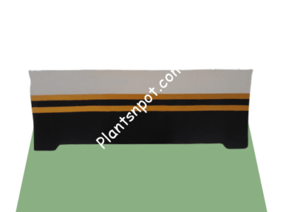 Gold Striped Plants Bed