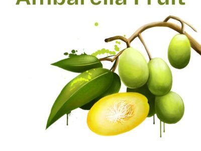 Ambarella Fruit Plant- Rare Imported