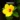 HIBISCUS.webp