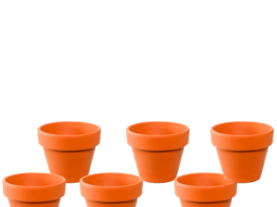 Mini Terracotta Clay Pot For Plants Succulents and Cactus