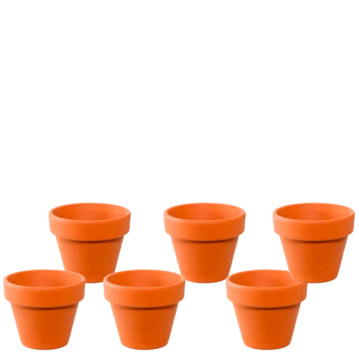 Mini Terracotta Clay Pot For Plants Succulents and Cactus
