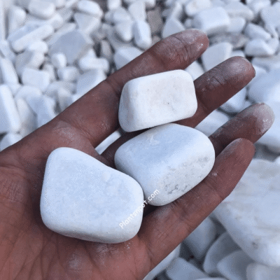 White Stones For Garden Landscape Aquarium