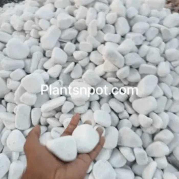 Natural White Stones