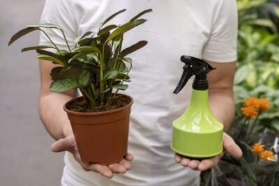 man-holding-house-plant-spray-bottle (2)