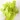 philodendron-lemon-lime.webp