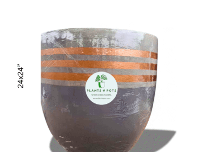 Bronze Bliss Concrete Planter