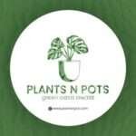 @_plants_npots
