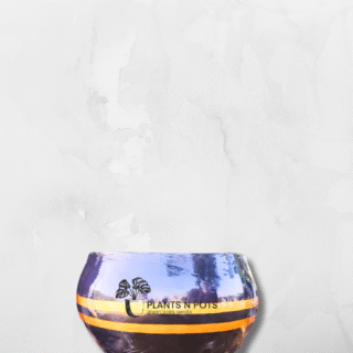 Sunset Glow Concrete Planter