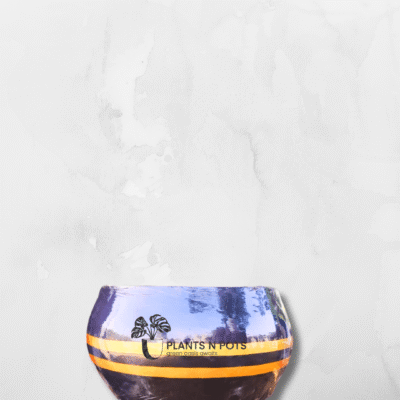 Sunset Glow Concrete Planter