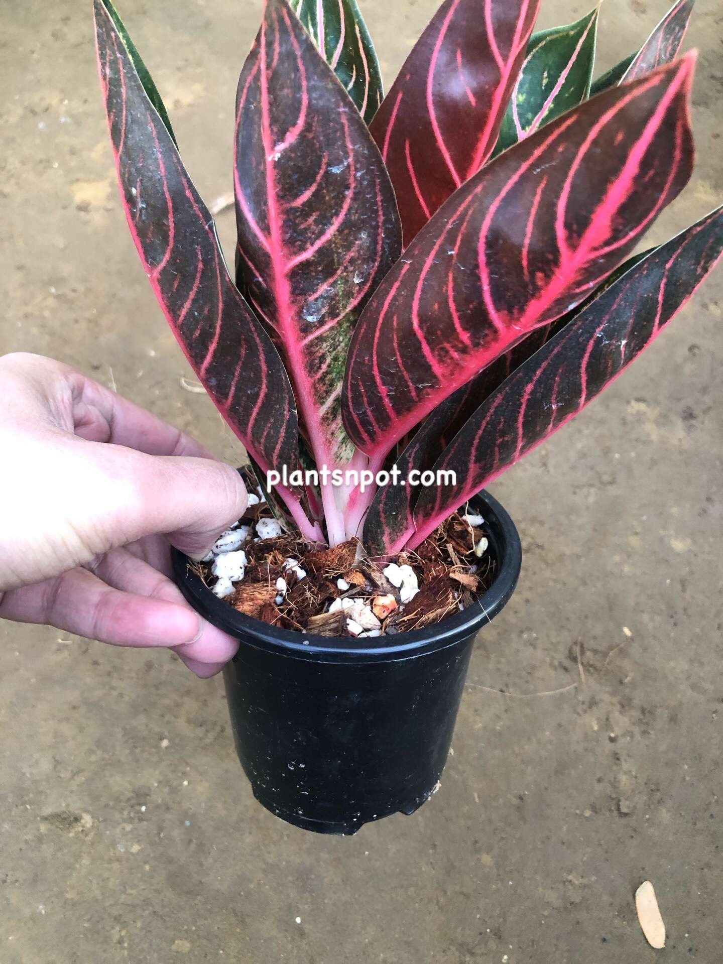 ab9f2f89-71db-4b7d-8391-dd8ad2e273ac