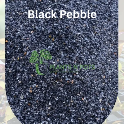 Black Pebbles Marble Stones