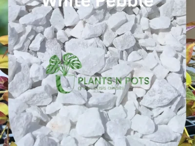 Garden Pebbles Gravel Stones