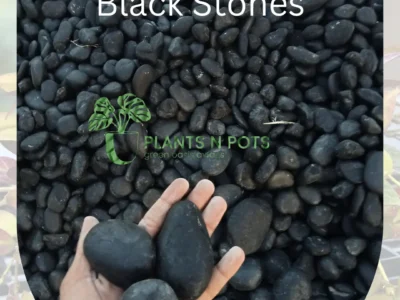 Black Stone For Landscape Hardscape Garden Decor