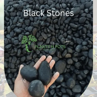 Black Polished Stones for Landscaping & Decoration