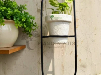 IronPod Capsule Planter