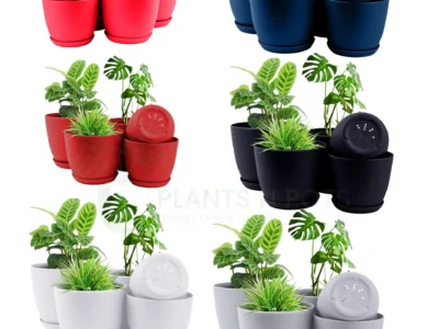 Plastic Plant Pots Set of 5 with Drainage Holes & Trays – Indoor & Outdoor Planters
