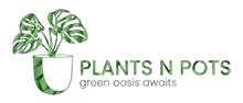 Plants N Pots- Indoor Outdoor Plants and Landscape Services in Karachi Pakistan-Green Oasis Awaits.