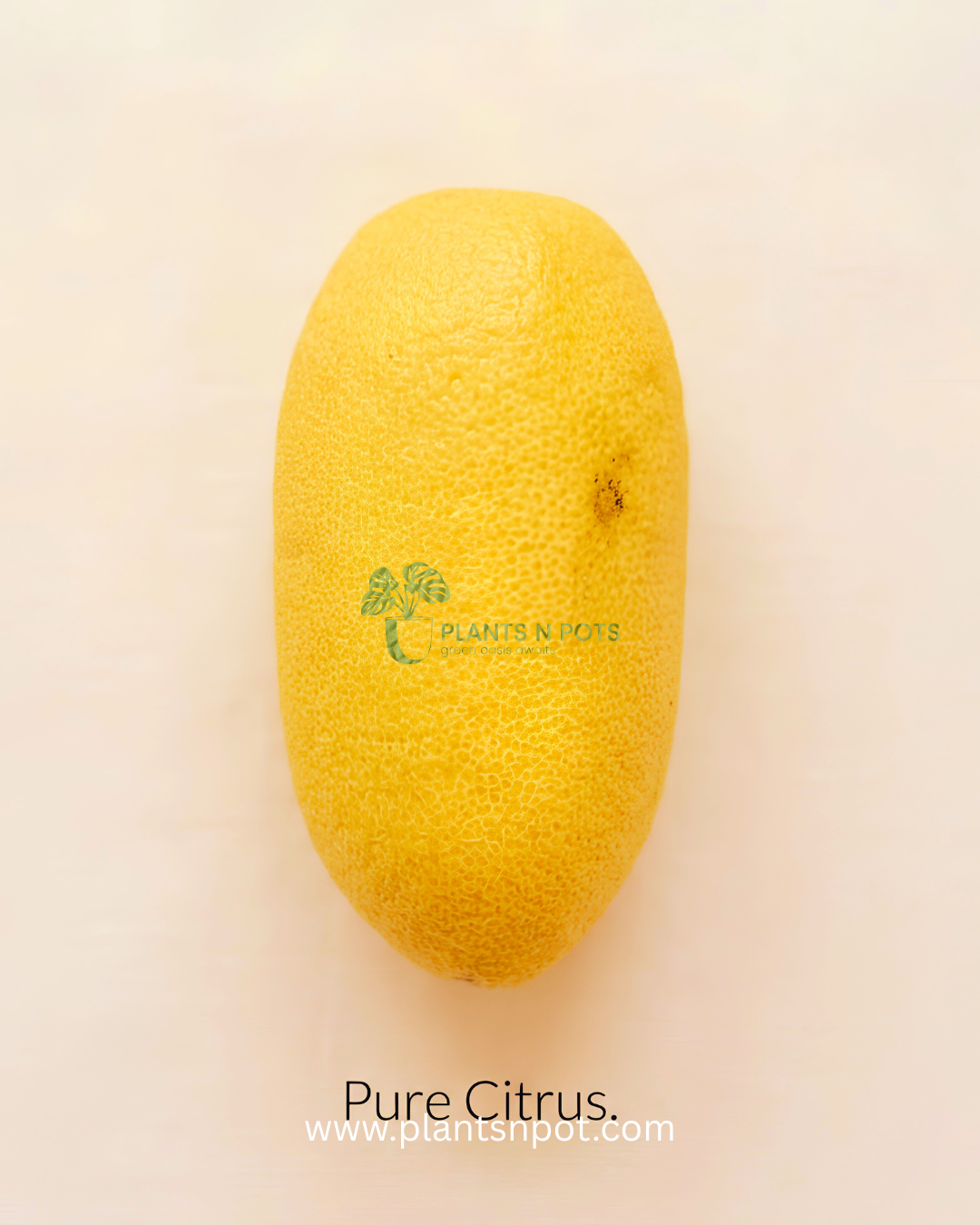 Australian lemon